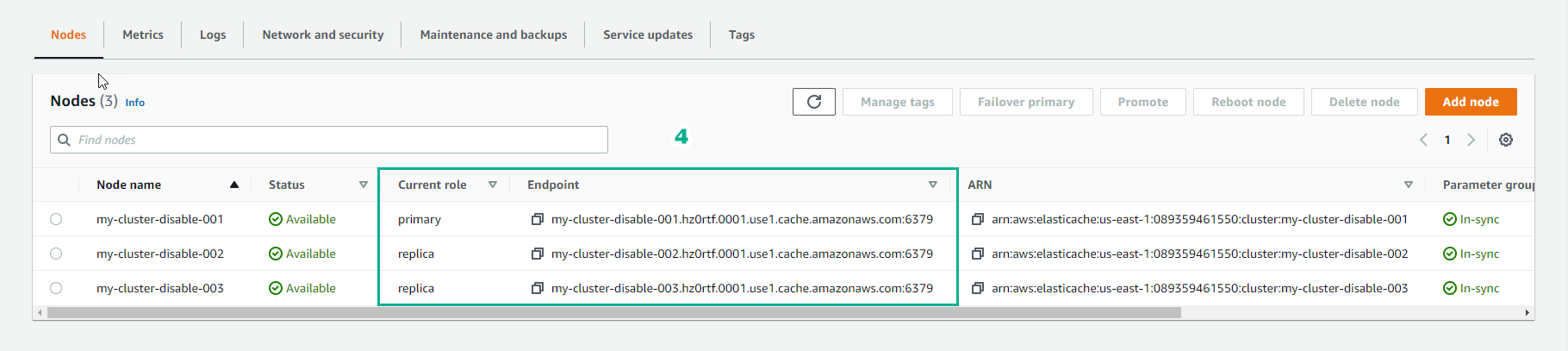 Connect to the cluster’s node