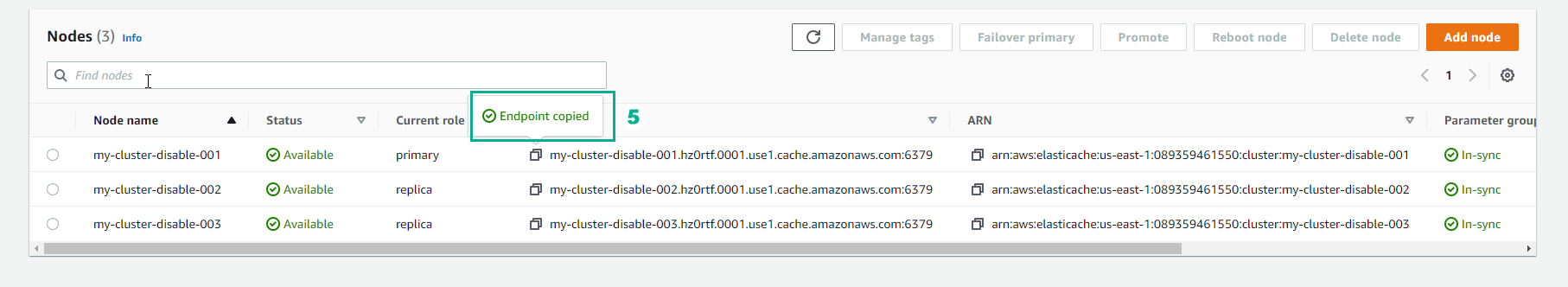 Connect to the cluster’s node